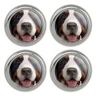 Bernese Mountain Dog Face Closeup Metal Craft Sewing Novelty Buttons - Set of 4