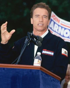 80052 Arnold Schwarzenegger Stunning Color Photo Wall Print Poster US - Picture 1 of 7