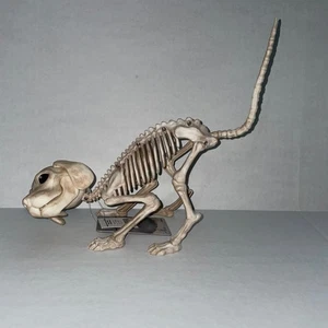 7" POUNCING PUPPY DOG SKELETON SPOOKY BONE DEAD ANIMAL PROP HALLOWEEN DECOR NEW - Picture 1 of 4