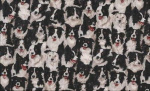 Border Collie Fabric Dogs Makower 100% Cotton 112cm wide Black - Picture 1 of 1