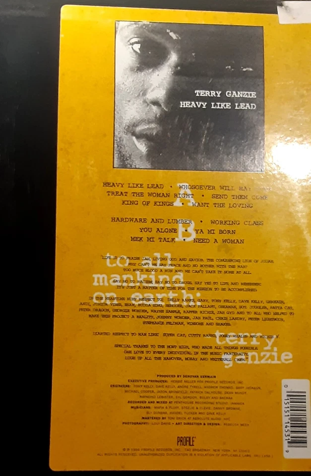 Terry Ganzie Heavy Like Lead Full Reggae Vinyl LP Record Album Foto 1 de 1