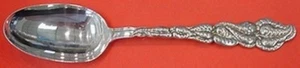 Ailanthus by Tiffany and Co Sterling Silver Serving Spoon 8 3/4" - Picture 1 of 1