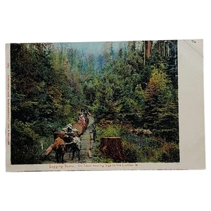 Cartolina d'epoca scena di tronchi squadra di buoi che trasporta tronchi al mulino di legname - Foto 1 di 2