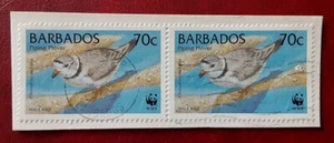 BARBADOS 1999 70c Piping Plover WWF Pair on Poscard Piece Mi 955 Scott 966 8007 - Picture 1 of 2