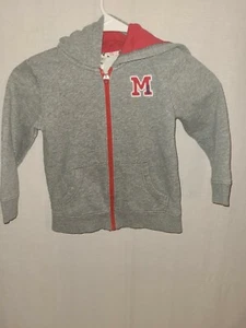 4T Walt Disney World Heather Gray ZIP UP Hoodie Hooded Sweatshirt - Picture 1 of 2