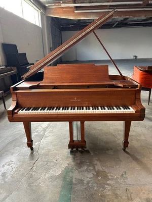 Piano de cola Steinway M 5'7" nogal satinado Foto 1 de 4