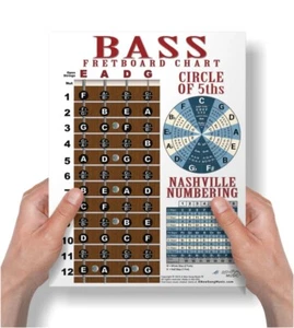 Laminated 4 String Bass Fretboard Wall Chart Poster Notes - 8.5" x 11" - Picture 1 of 8