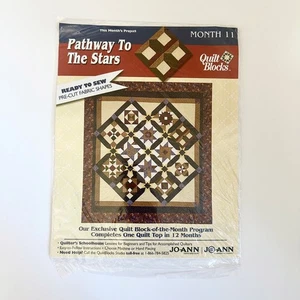 Quilt Block of Month JoAnn "Pathway to the Stars" 2001 MONTH 11 Skylight - Picture 1 of 2