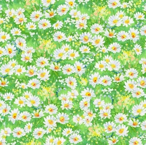 Timeless Treasures Forest Bloom Painted Daisy Meadow Cotton Fabric by the Yard - Picture 1 of 4