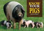 Know Your Pigs GC English Byard Jack Fox Chapel Publishers International Paperba