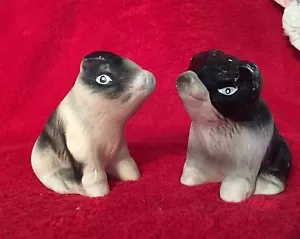 Juego de coctelera de sal y pimienta de porcelana blanca y negra pintada a mano para par de cerdos de colección - Imagen 1 de 3