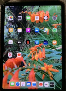 Apple iPad Pro 11in 2nd 1st (OEM) LCD Cracked Retina Display Screen Only (A2228) - Picture 1 of 11