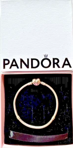 Pandora Moments Snake Sterling Silver Heart Clasp Starter Charm Bracelet w/Box - Picture 1 of 4