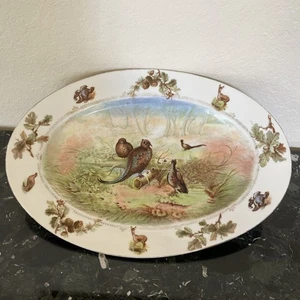 GROSSE KAISERKRONE ÖSTERREICH FASAN WILDVOGEL 17 1/2" OVALE SERVIERPLATTE - Bild 1 von 23