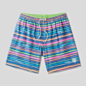 Chubbies Men's "The Rainbow Statics" 4" Lined Classic Swim Trunk Stripe - Medium - Picture 1 of 7