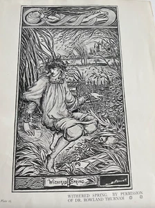 Placa de impresión ilustración Art Nouveau vintage primavera marchita Aubrey Beardsley 25 - Imagen 1 de 7