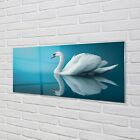 Tulup Glass Print 125X50 Wall Art Picture Swan In Water
