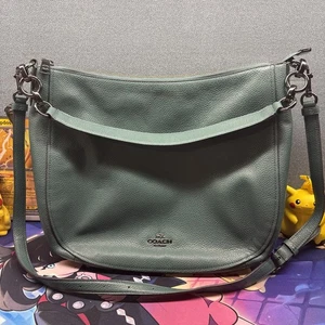 Coach Chelsea Hobo 32 Modelo F1780-58036 Cuero Guijarro Pulido Verde $500 Nuevo - Imagen 1 de 8