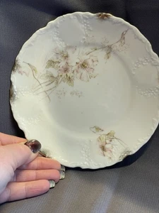 Lote de 9 Platos Florales Rosa Porcelana Antigua THEODORE HAVILAND Limoges Francia - Imagen 1 de 5