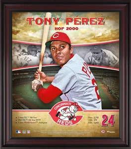 Tony Perez Cincinnati Reds Framed 15x17 Hall of Fame Career Profile - Picture 1 of 1