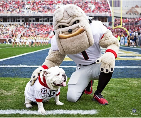 Georgia Bulldogs Unsigned Hairy Dawg with Uga Photograph Cover