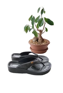 Sandalias de tanga de cuero sintético negras ortopédicas para mujer US 6 M EUR 36 - Imagen 1 de 5