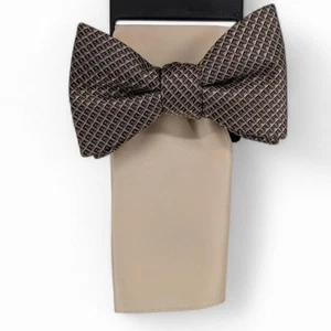 Alfani Herren Galway taupe Mini-Chevron vorgebundene Fliege & solides Einstecktuch Set - Bild 1 von 1