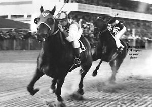 1938 Seabiscuit vs War Admiral PHOTO Horse Race Racing Epic Racetrack Battle