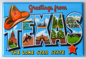 Greetings from Texas FRIDGE MAGNET travel souvenir "style E" - Picture 1 of 3