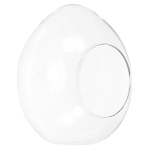 Globe Terrarium Air Plant Planter, 6.7 Inch Egg Shaped Glass Clear - Picture 1 of 5