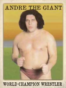 LJACards Weltmeister Wrestler Serie 1 Sammelkarten ACEO (2. Druck) - Bild 1 von 38