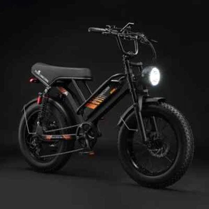 PURE UNICORN U5 Elektrofahrrad 48V 19,2Ah Offroad-EBIKE 20" FetterReifen Pedelec - Bild 1 von 19
