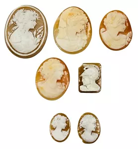 Seven 7 Vintage Antique Victorian Carved Shell Loose Cameos Collection Lot - Picture 1 of 17
