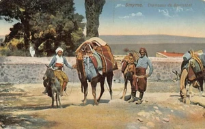Postcard FX: Smyrna (Izmir), Camels of Bournabat, 1910's, Turkey - Picture 1 of 2