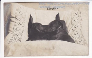 FOTOKARTE , DACKEL , TECKEL , DACHSHUND , " EHEGLÜCK " , ca1910 - Picture 1 of 2