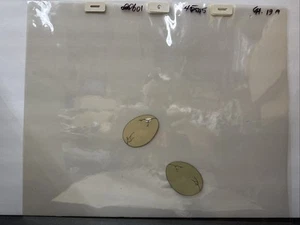 The Land Before Time 1988 Movie Art Animation Production Cel Dinosaur Egg Hatch - Picture 1 of 11