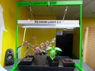 GrowBright 2 pies 1 lámpara alto rendimiento T5 luz de crecimiento con soporte 6500K - NUEVO PARA 2025 Foto 1 de 3