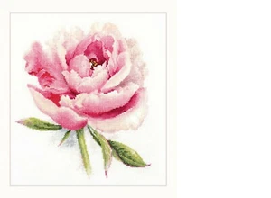 Cross Stitch Kit by Alisa - Tender Peony; flowers cross stitch; gentle peony - Picture 1 of 1
