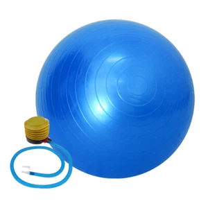 Pelota Bola de Yoga Pelota de Entrenamiento de Equilibrio para Pilates Fitness - Imagen 1 de 1
