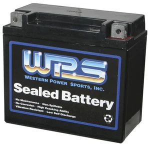 YAMAHA WaveRunner XLT XL GPR GP SUV SJ ALL WPS Sealed AGM Battery 12V16CLB - Picture 1 of 1