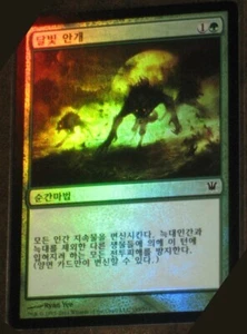 (Foil) [NM] MTG Korean, Innistrad, 1 x Moonmist - Picture 1 of 1