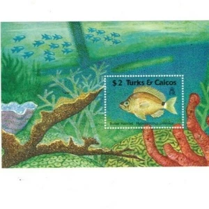 Turks and Caicos - 1989 - Fish - Souvenir Stamp Sheet - Scott #824 - MNH - Picture 1 of 1