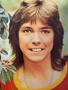 David Cassidy, Donny Osmond, doppelseitige Vintage Pinup - Bild 1 von 2