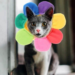 Tocado Flor Peluche Gatito Navidad Mascota Prendas para la cabeza Girasol Gato Gorra Flor - Imagen 1 de 12