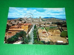 Cartolina Perugia - Panorama 1960 - Picture 1 of 1
