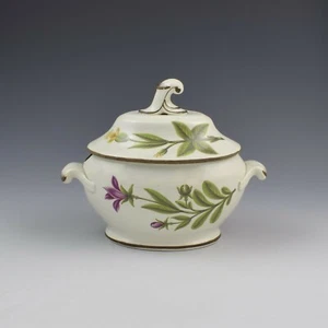 Antique Georgian Swansea Pearlware Botanical Sauce Tureen c.1810 - Picture 1 of 12