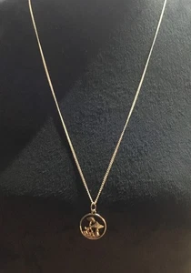 "Collar de moda tono plata 28"" con dije de jardín de setas nuevo sin etiquetas" - Imagen 1 de 6