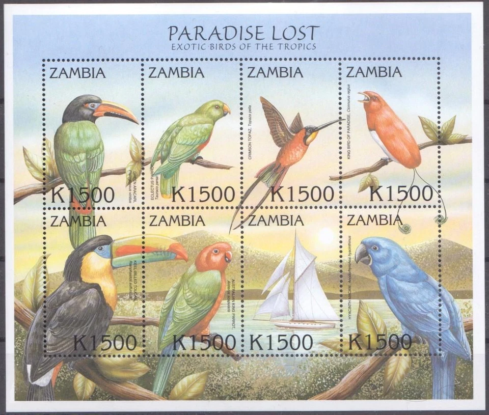 TP667 - GAMBIA 2000 BIRD/GREEN ARACARI/CRIMSON TOPAZ/TOUCAN/MACAWS SC886 MNH - Image 1 of 1