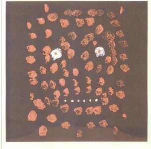 CURRENT 93 - Dawn Yawns - limited translucent blue marbled vinyl LP + insert - Bild 1 von 1