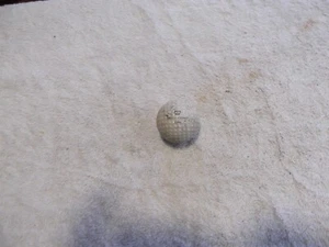 Royal Crown Cola vintage golf balls - Picture 1 of 2